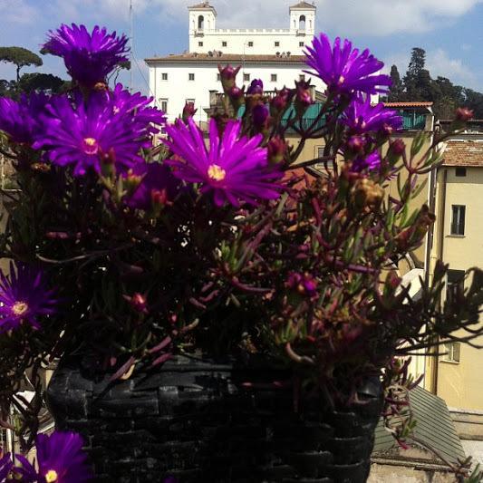 Domus Valeria Guest House Roma Dış mekan fotoğraf